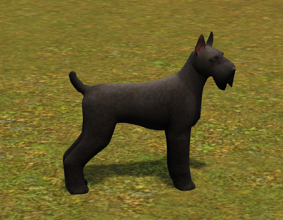 The Giant Schnauzer - The Sims 3 Catalog