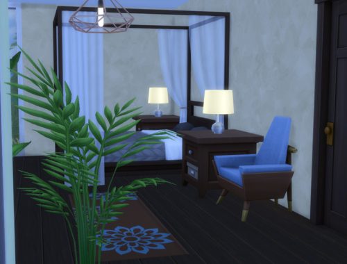 Palm Tree Oasis