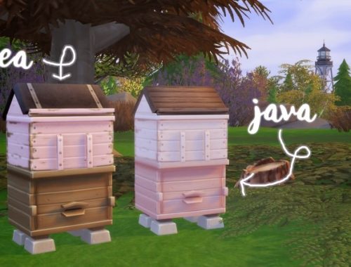 Javabean’s Home for Bees at Hamburger Cakes