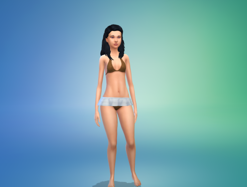 Bikini Skirt Set