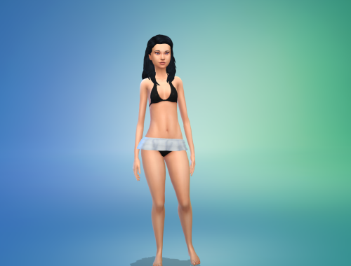 Bikini Skirt Set