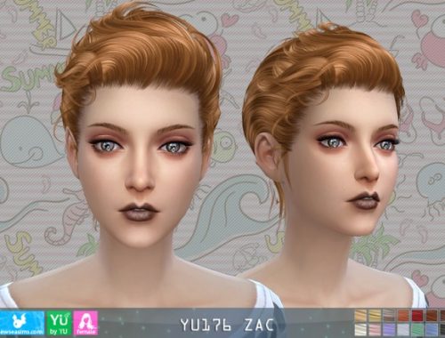 YU 176 Zac hair