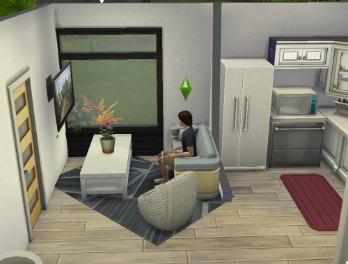 Minimalist? NO CC