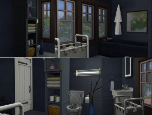 Wither Veterinarian Clinic 04