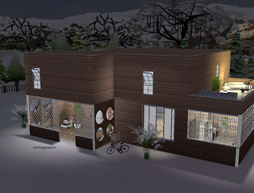 Cozy Wood Home