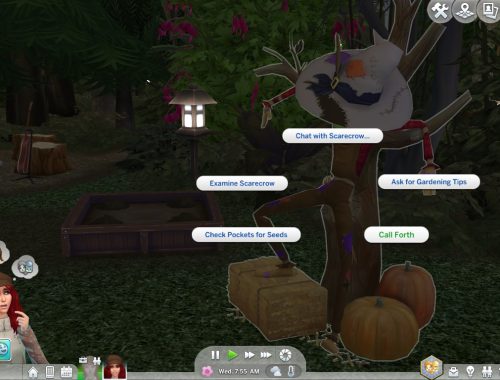Patchy The Scarecrow Behaviour