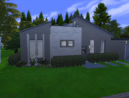 Modern Woodland Home