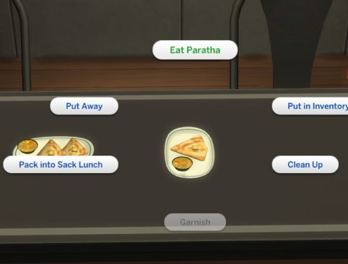 Custom Indian Food ? Paratha (Updated 10th Nov 2017