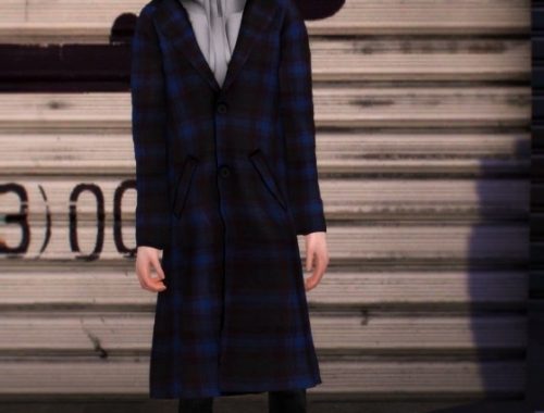 Hoodie Raglan Coat at Kiro