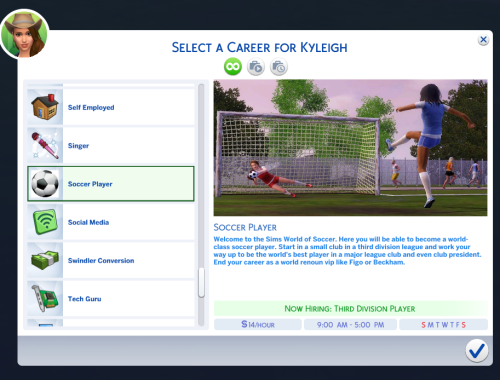 Soccer Player Career