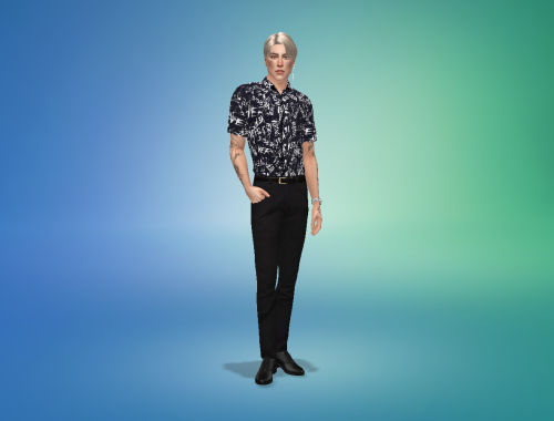 Rhys Weber: Sims 4