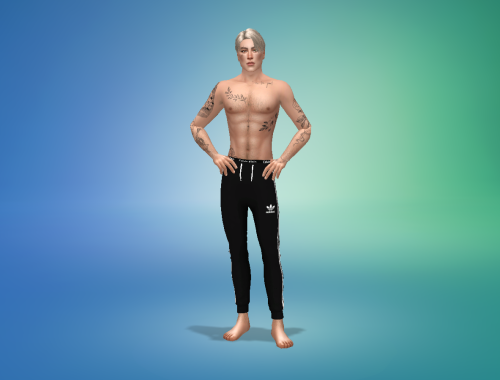 Rhys Weber: Sims 4