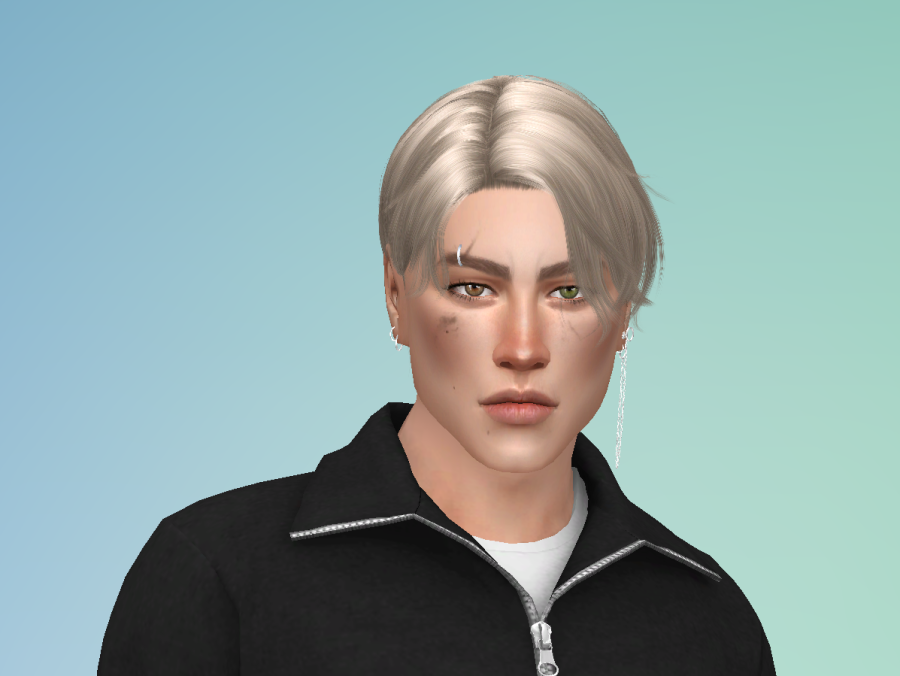 Rhys Weber: Sims 4 - The Sims 4 Catalog