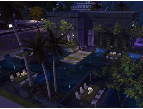 NIGHT LIGHT