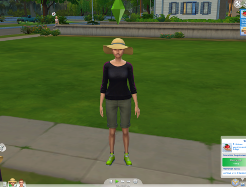 Corporate Gardener Custom Career
