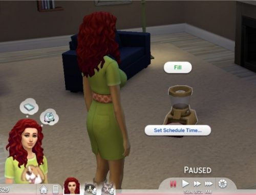 Animal Rescue Mod and Career