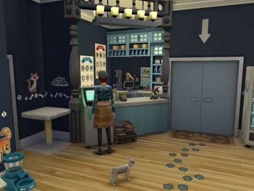 Hometown Vet Apartment