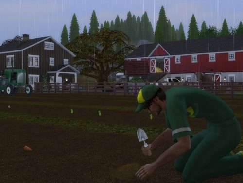 The Farm at Alial Sim