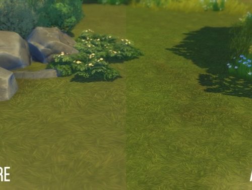Brindleton Bay Grassland Overhaul Default Replacement Grass
