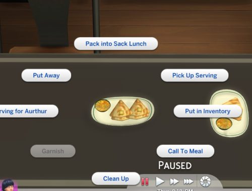 Custom Indian Food ? Paratha (Updated 10th Nov 2017