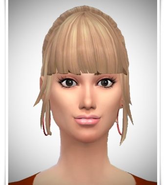 Sweet Sixteen Ponytail hair