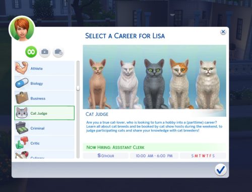 Cat Judge Career