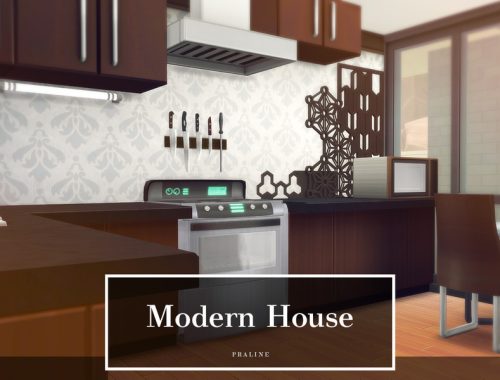 Modern House
