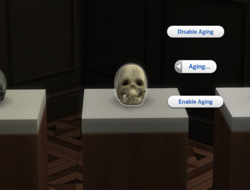 The Skull of Life and Death