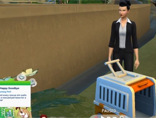 Animal Rescue Mod and Career