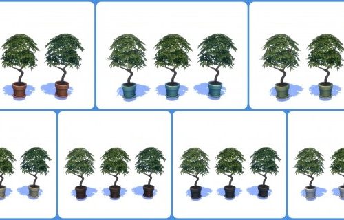 10 BRAND NEW Houseplants by simsi45 at Mod The Sims