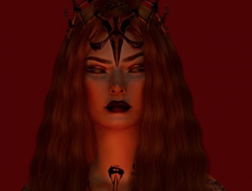 10 Cetrion Head Accessories Pack at Astya96