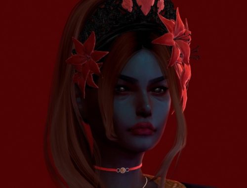 10 Cetrion Head Accessories Pack at Astya96