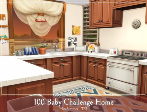 100 Baby Challenge home.