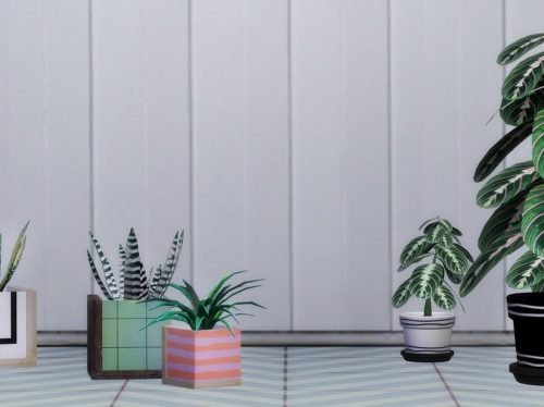 Ansa Potted plants set at Slox