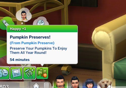 Functional Canning Station and Custom Canning Skill ( New Preserves Update)