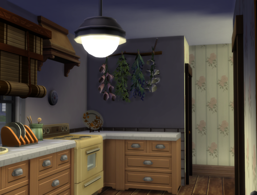 Cozy starter house (No CC)
