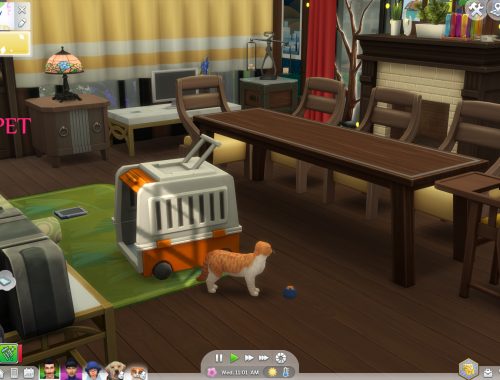 Pet Themed Holiday Traditions