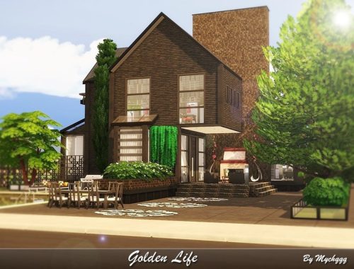 Golden Life