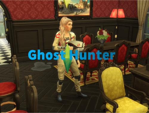 Ghost Hunter Career (TS3 to TS4)