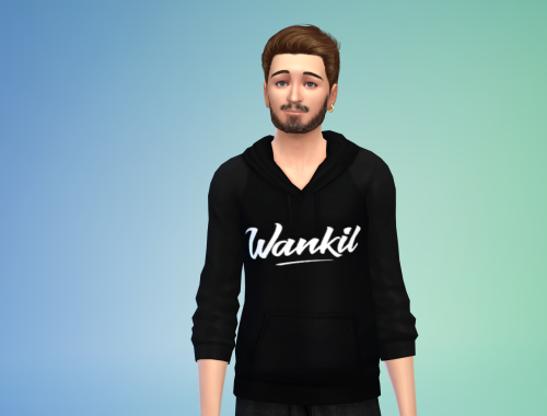 Hoodie Wankil Studio