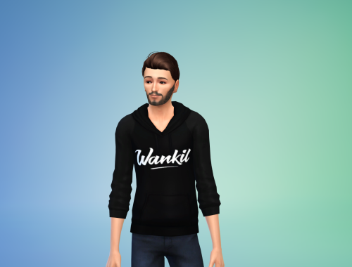 Hoodie Wankil Studio