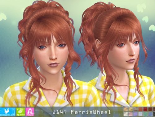 J147 Feris Weel