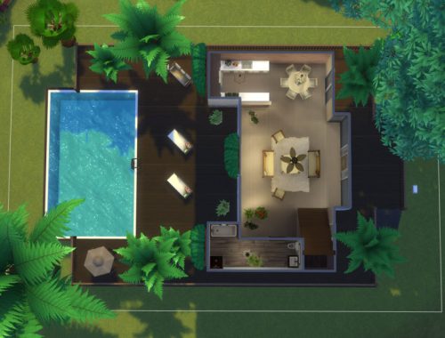 Palm Tree Oasis