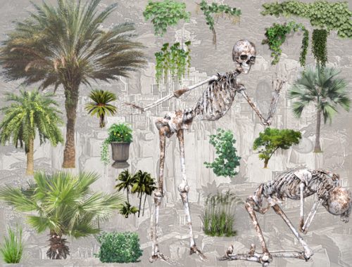D720 Wall Decals set