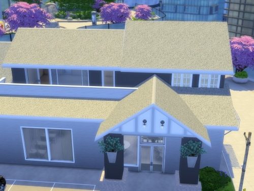 Suzie Nail Salon Lot
