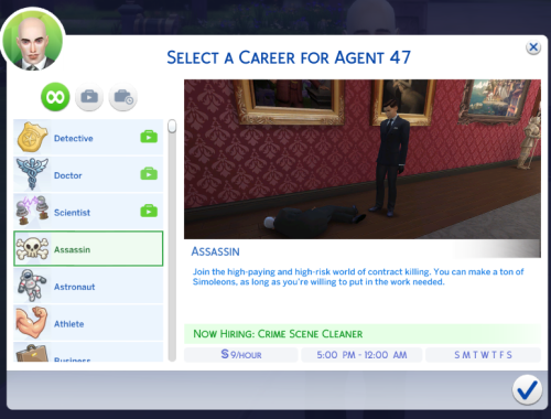 Assassin Career