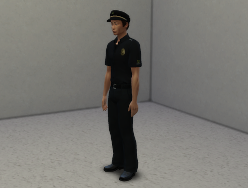 Policeman's Unifroms