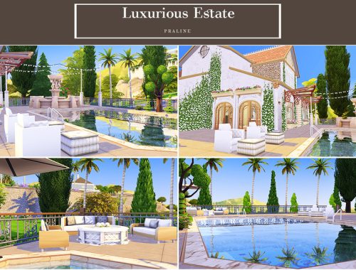 Luxurious Estate