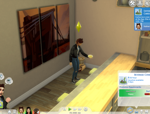 Part Time Careers (TS3 to TS4)