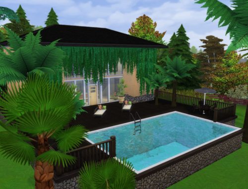 Palm Tree Oasis